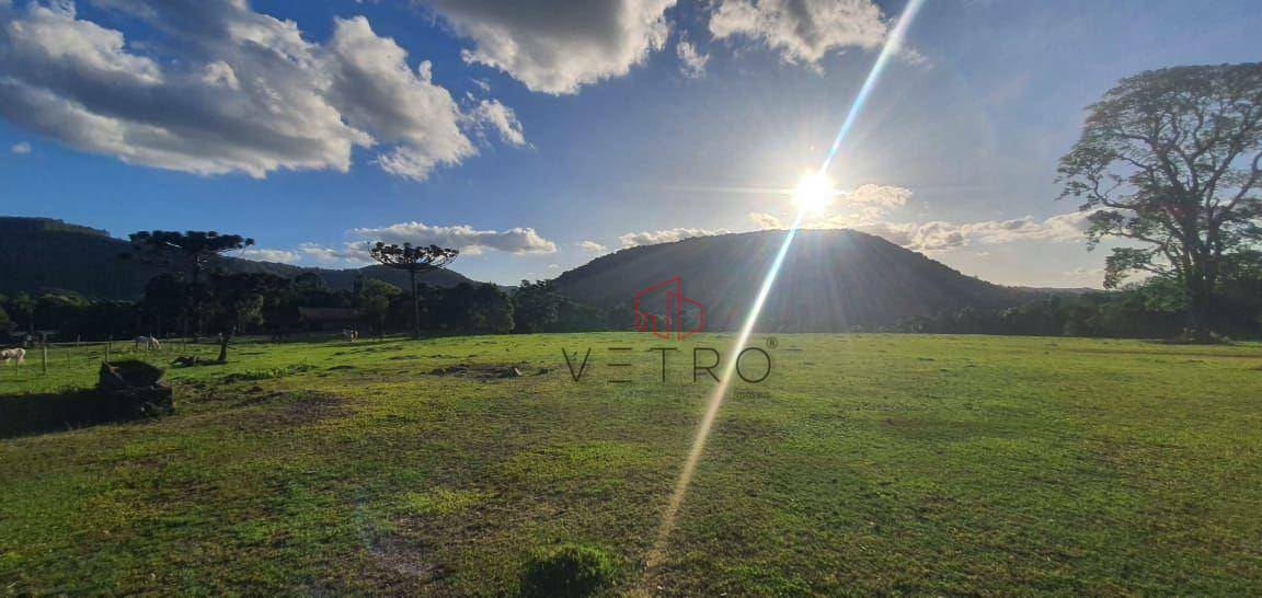 Sítio à venda com 4 quartos, 240000M2 - Foto 7