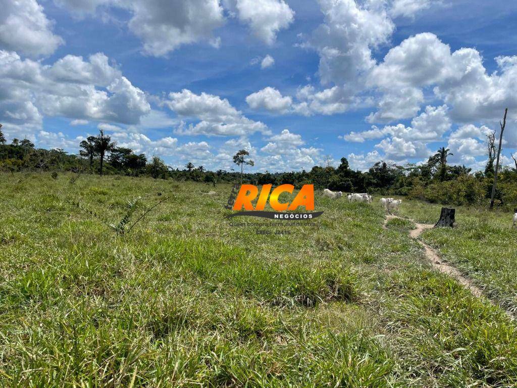 Fazenda à venda, 1110000M2 - Foto 14