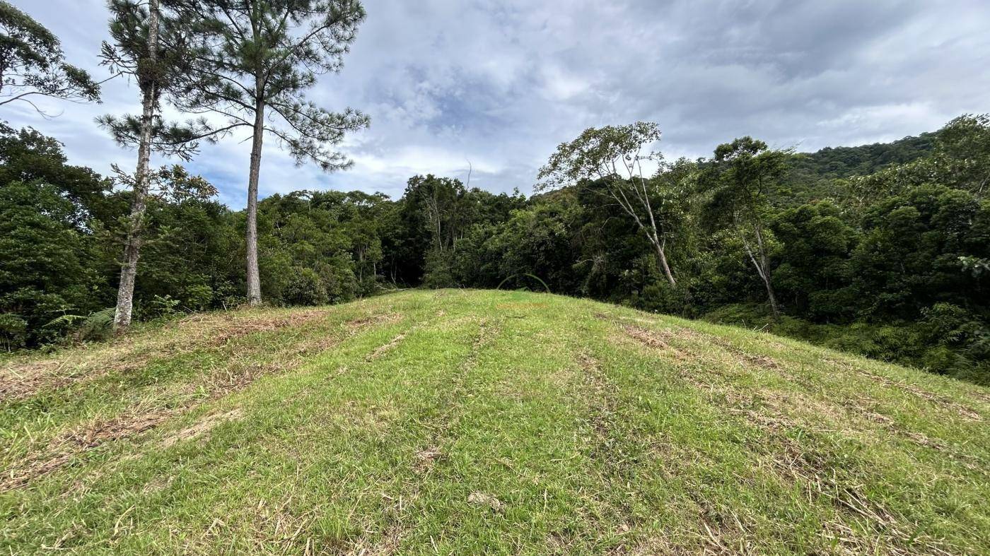 Terreno, 9 hectares - Foto 8