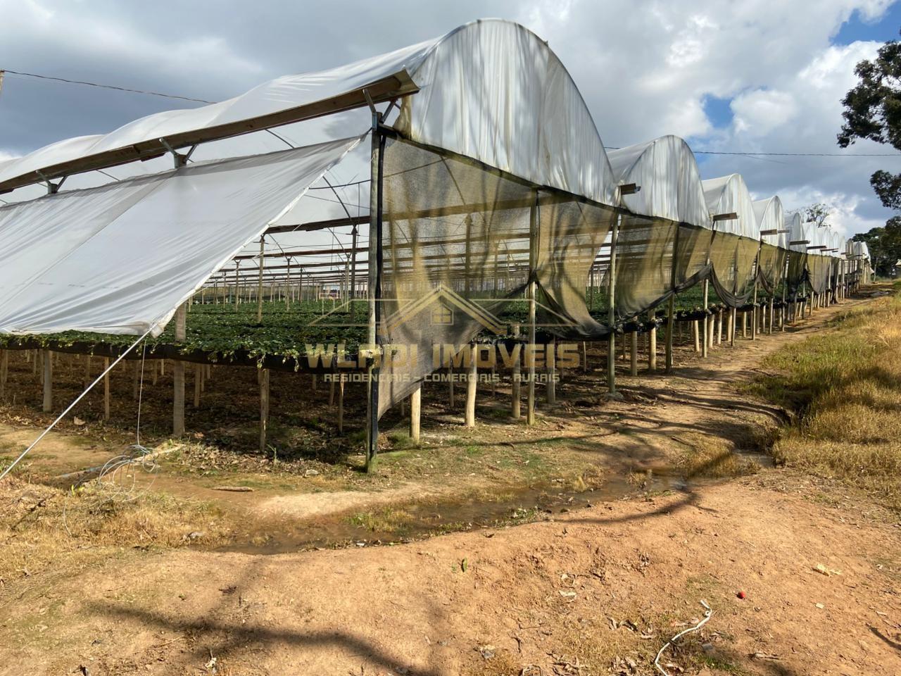 Fazenda-Sítio-Chácara, 70 m² - Foto 19