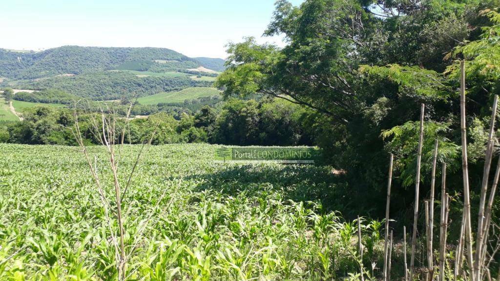 Terreno à venda, 82160M2 - Foto 9