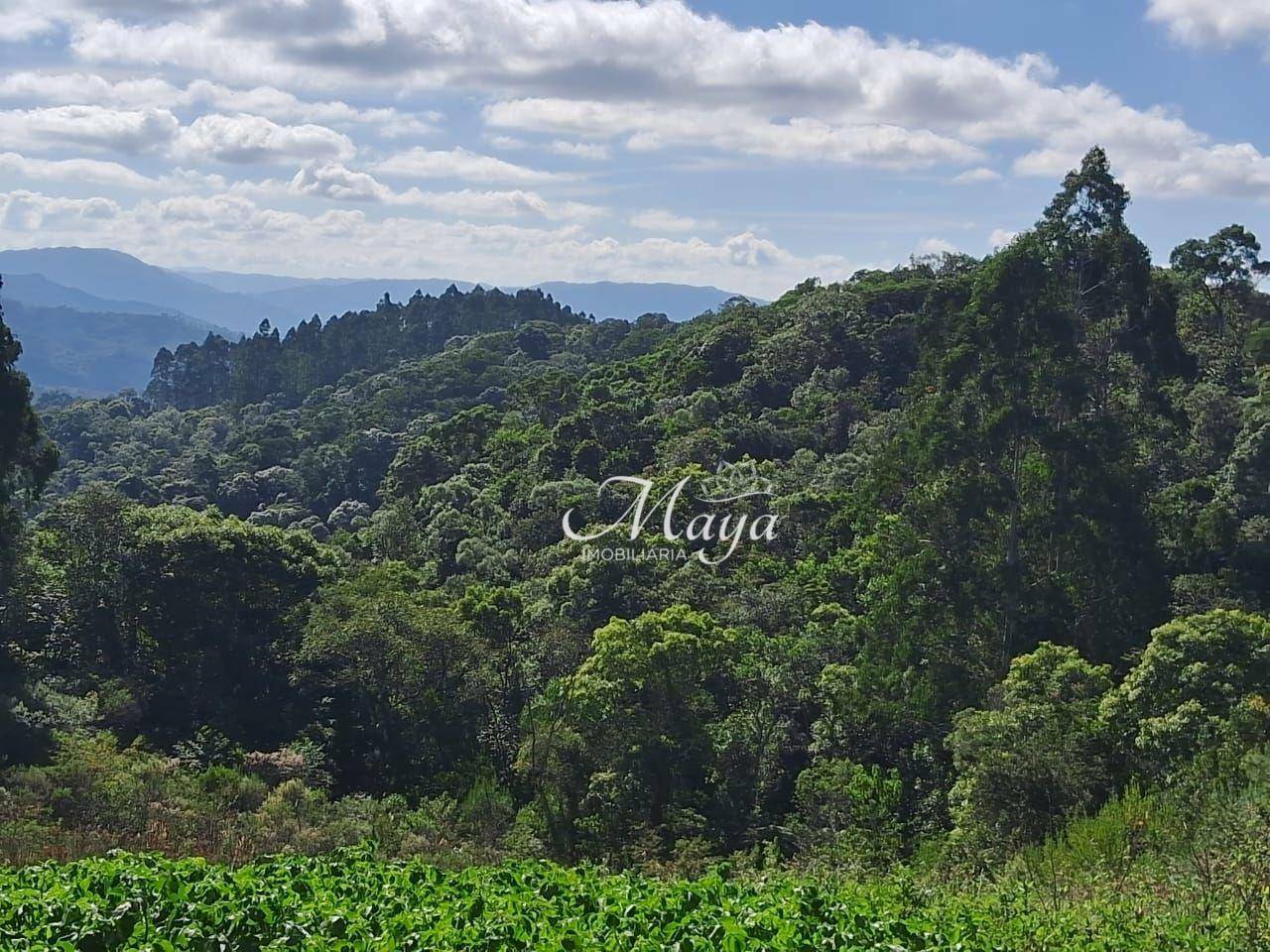 Terreno à venda, 100000M2 - Foto 3