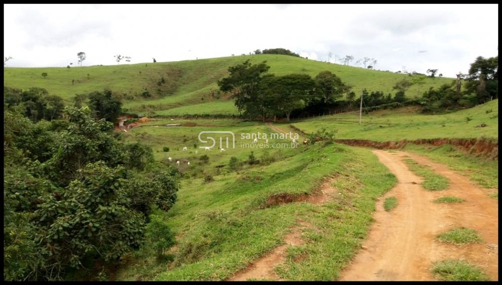 Fazenda-Sítio-Chácara, 157 hectares - Foto 2