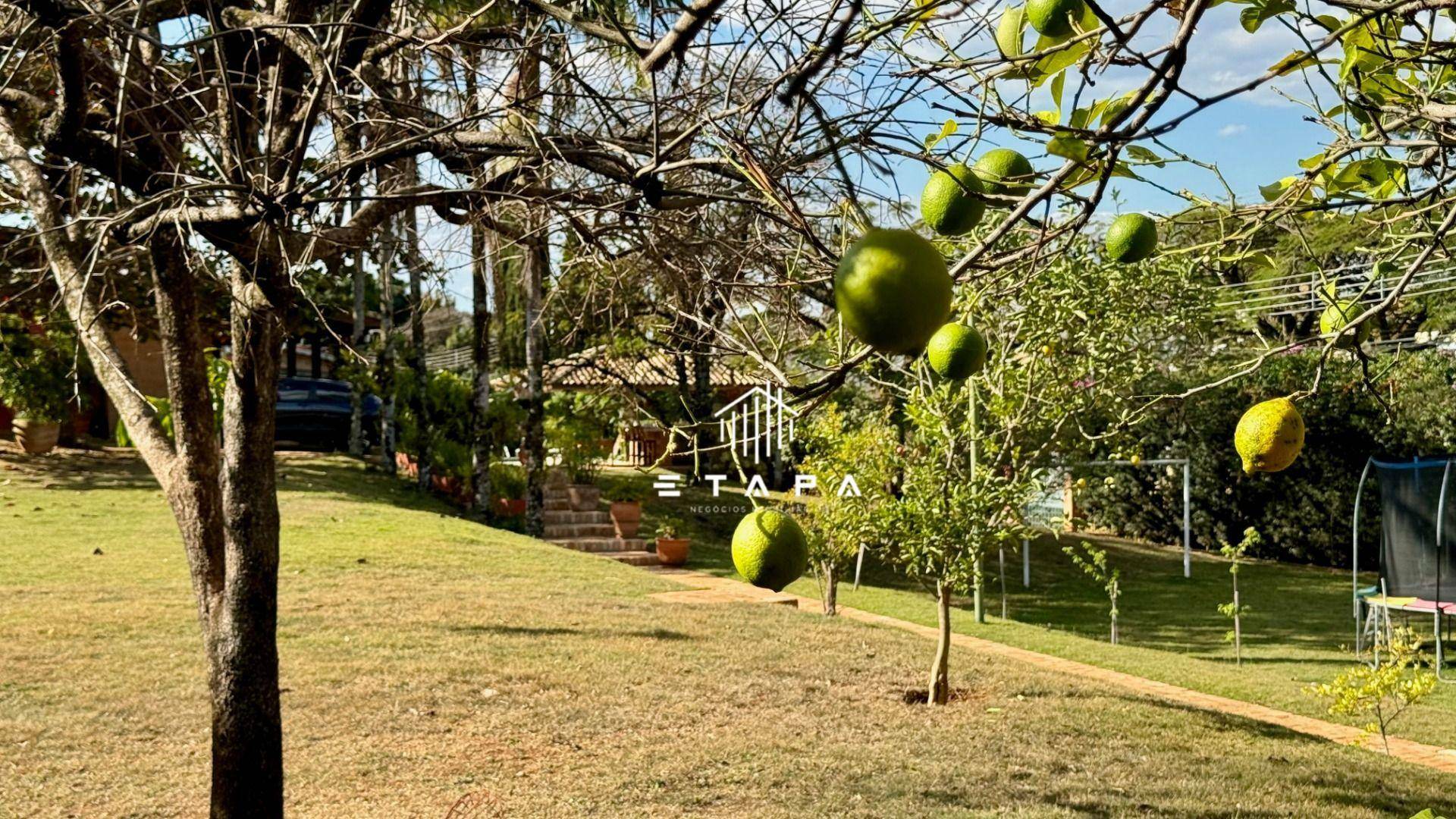 Casa à venda com 5 quartos, 539m² - Foto 47
