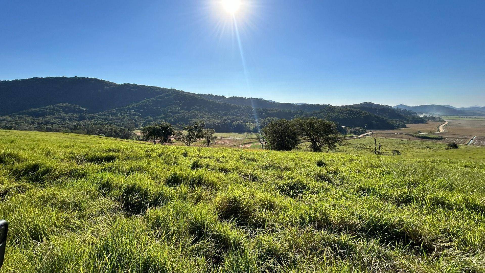 Terreno, 27 hectares - Foto 15