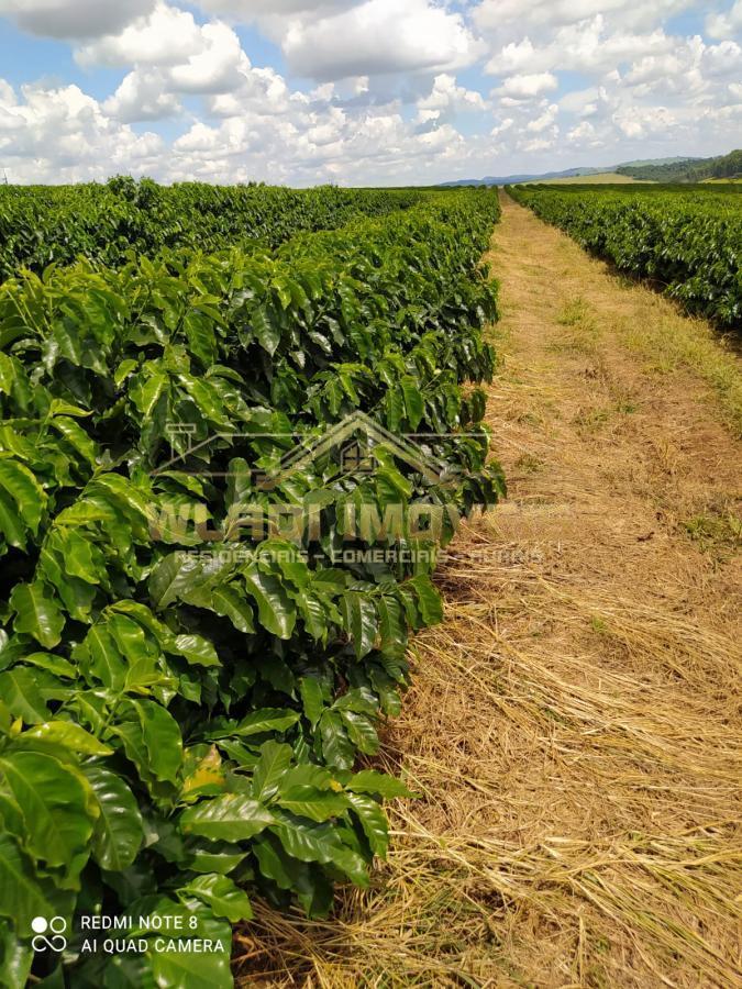 Fazenda à venda, 136m² - Foto 12