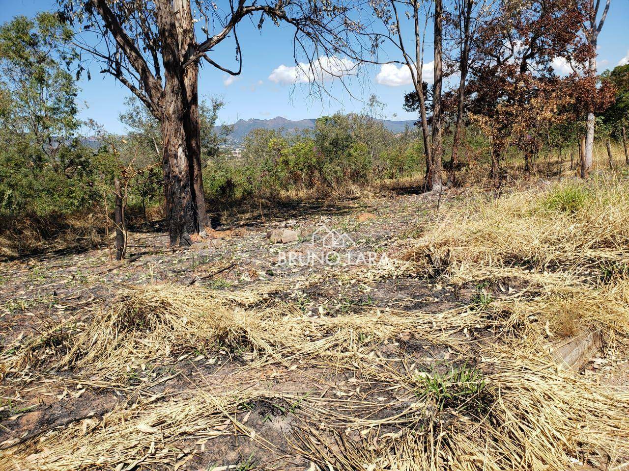 Terreno à venda, 60000M2 - Foto 24