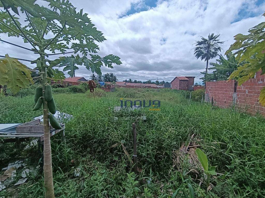 Terreno à venda, 250M2 - Foto 14