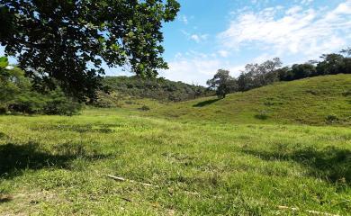 Sítio à venda com 2 quartos, 210000m² - Foto 22