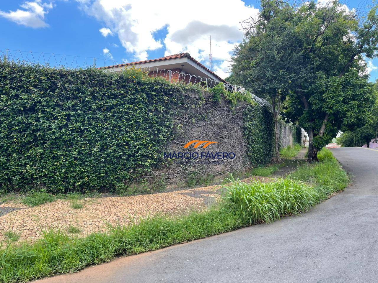 Casa, 4 quartos, 353 m² - Foto 3