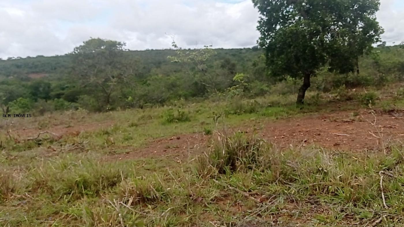 Fazenda à venda, 26000m² - Foto 10