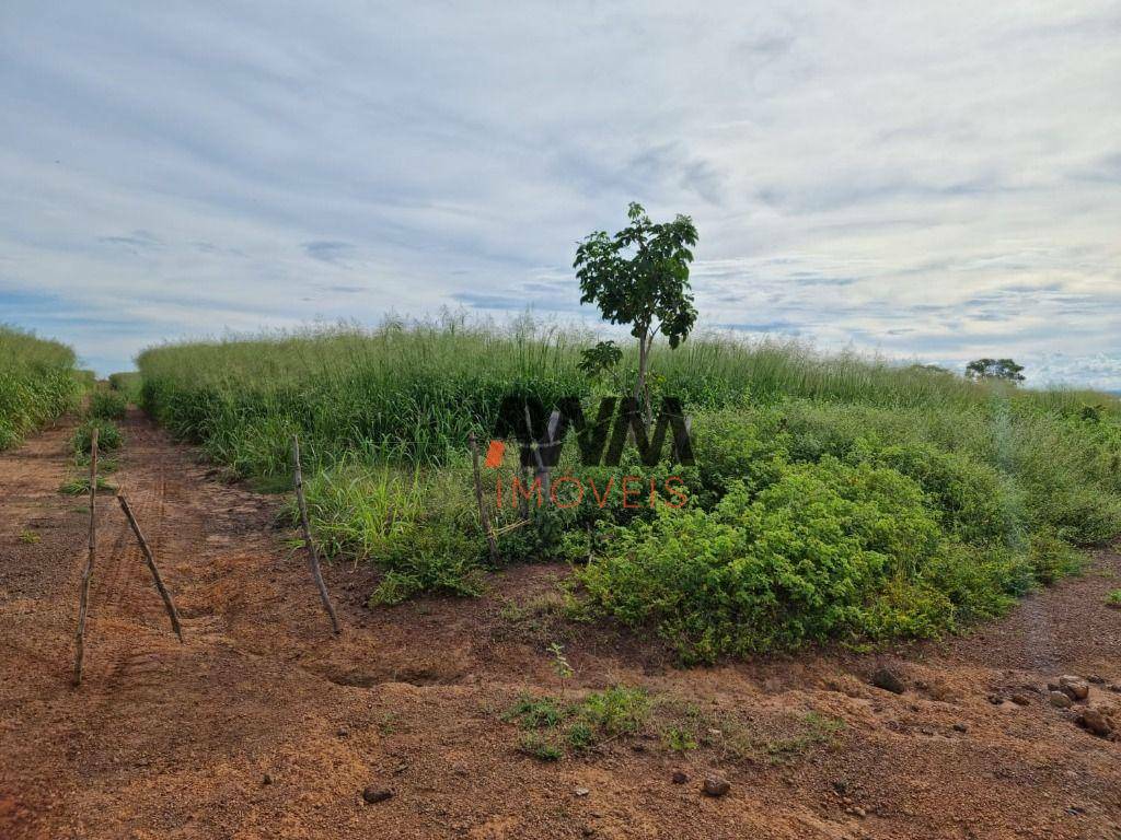 Fazenda à venda, 70000000M2 - Foto 14