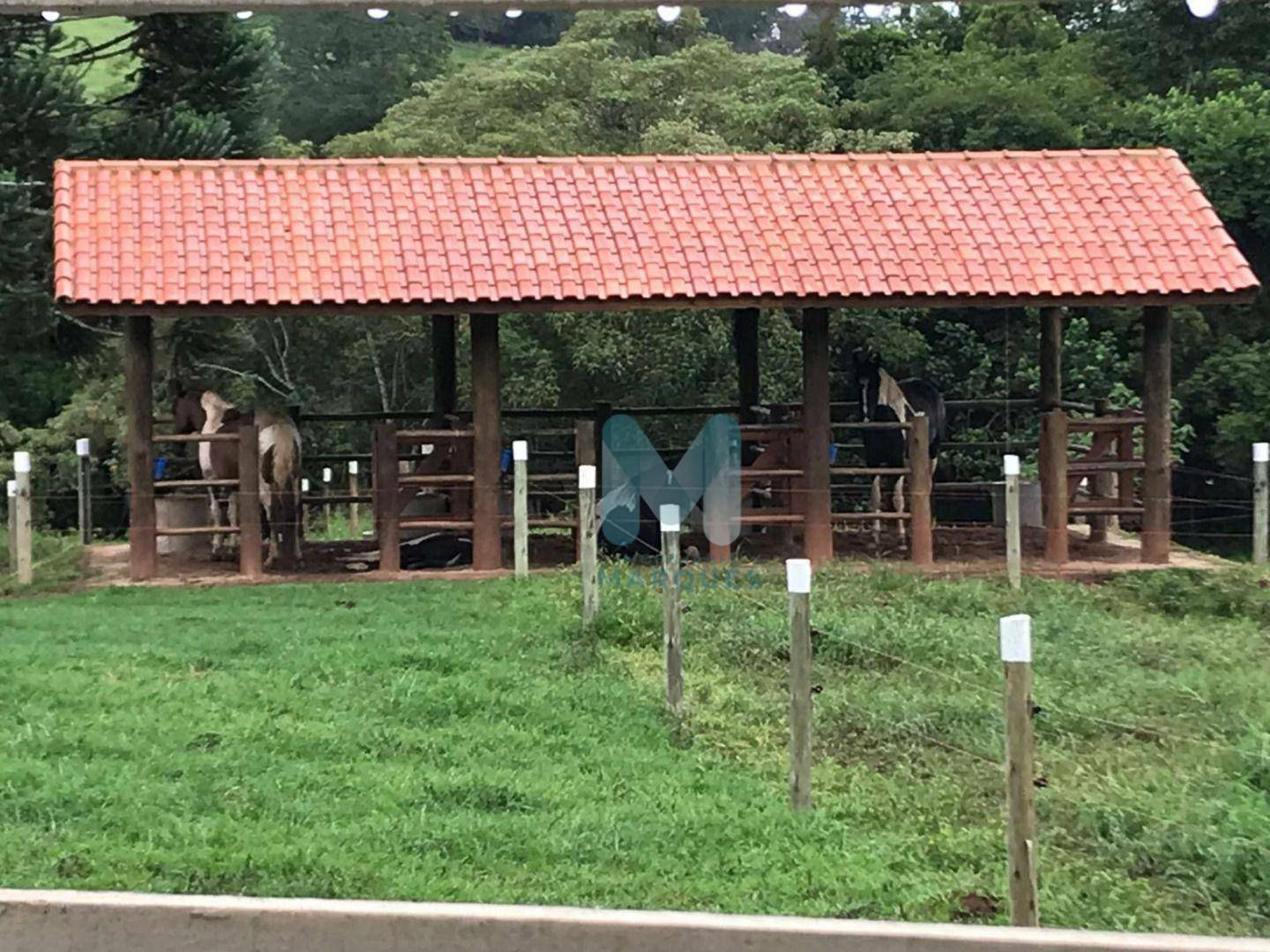 Chácara à venda com 2 quartos, 140m² - Foto 2