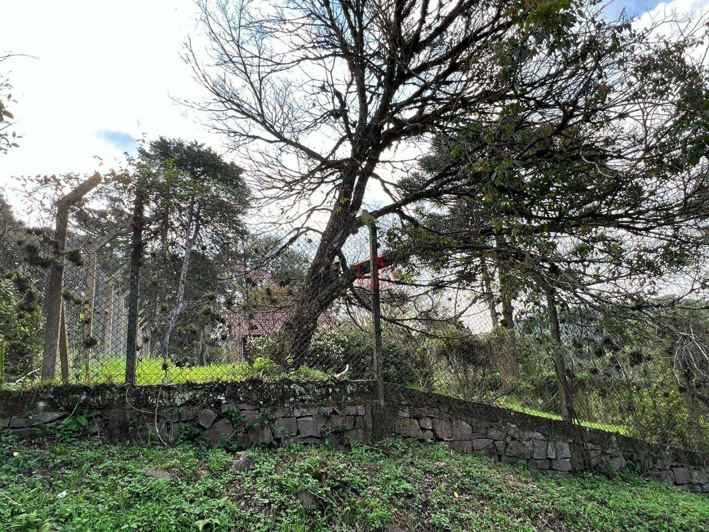 Terreno à venda, 1600M2 - Foto 4