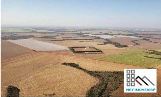 Fazenda-Sítio-Chácara, 17531 hectares - Foto 4