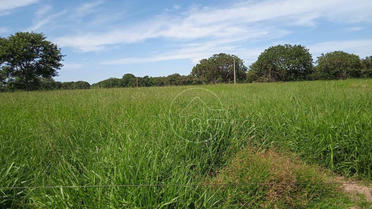 Fazenda à venda, 8800000M2 - Foto 11