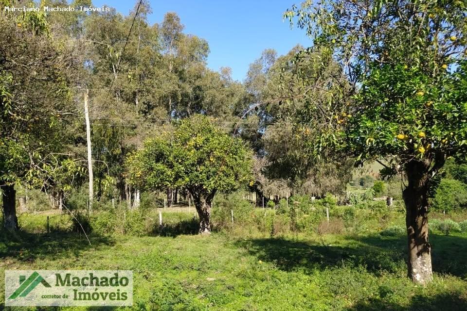 Fazenda à venda, 440000m² - Foto 7