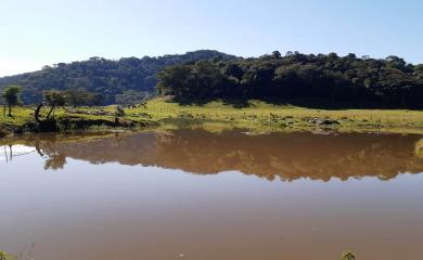 Fazenda à venda com 2 quartos, 270000m² - Foto 28