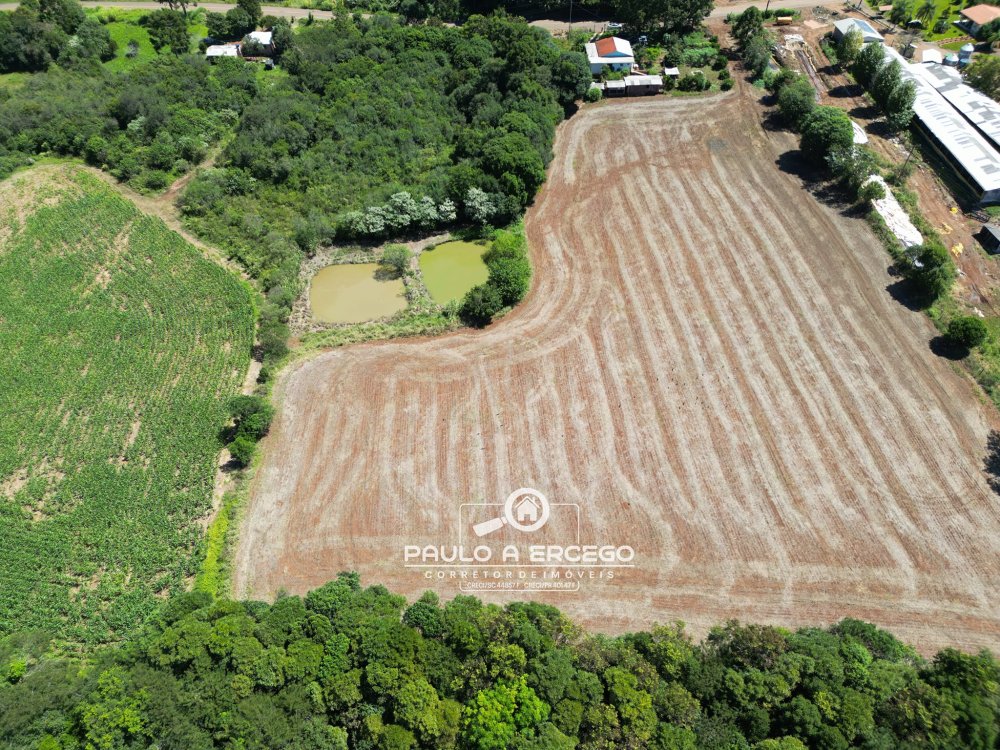 Chácara, 3 quartos, 3 hectares - Foto 2