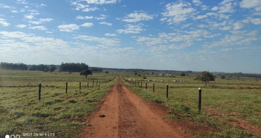 Fazenda à venda, 5566000M2 - Foto 8