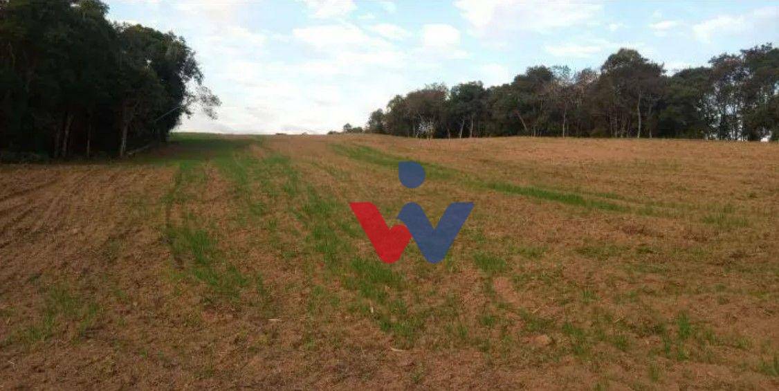 Terreno à venda, 23700M2 - Foto 10