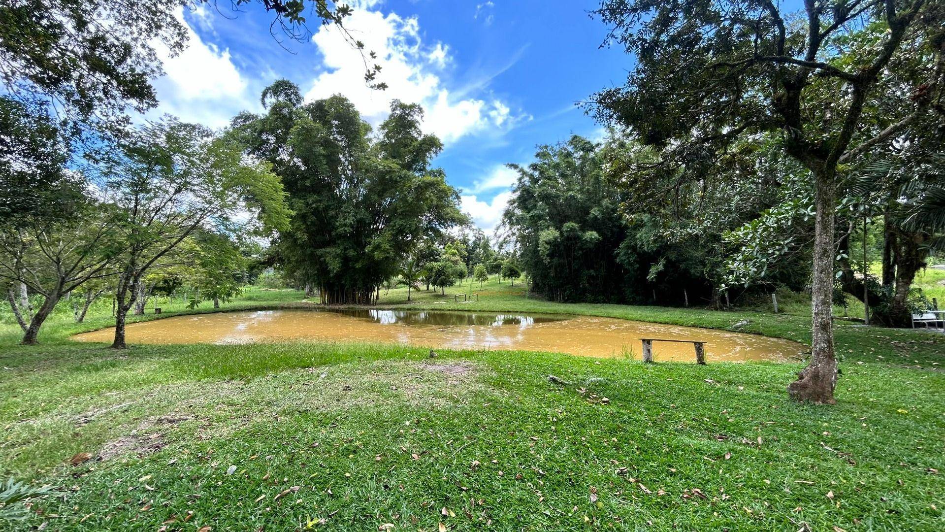 Chácara, 2 hectares - Foto 11