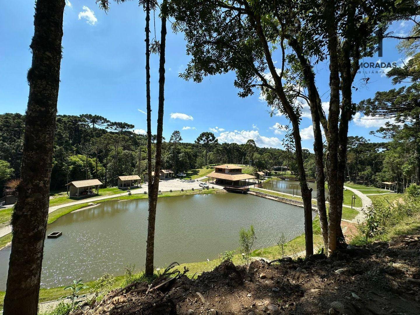 Chácara, 2 hectares - Foto 9