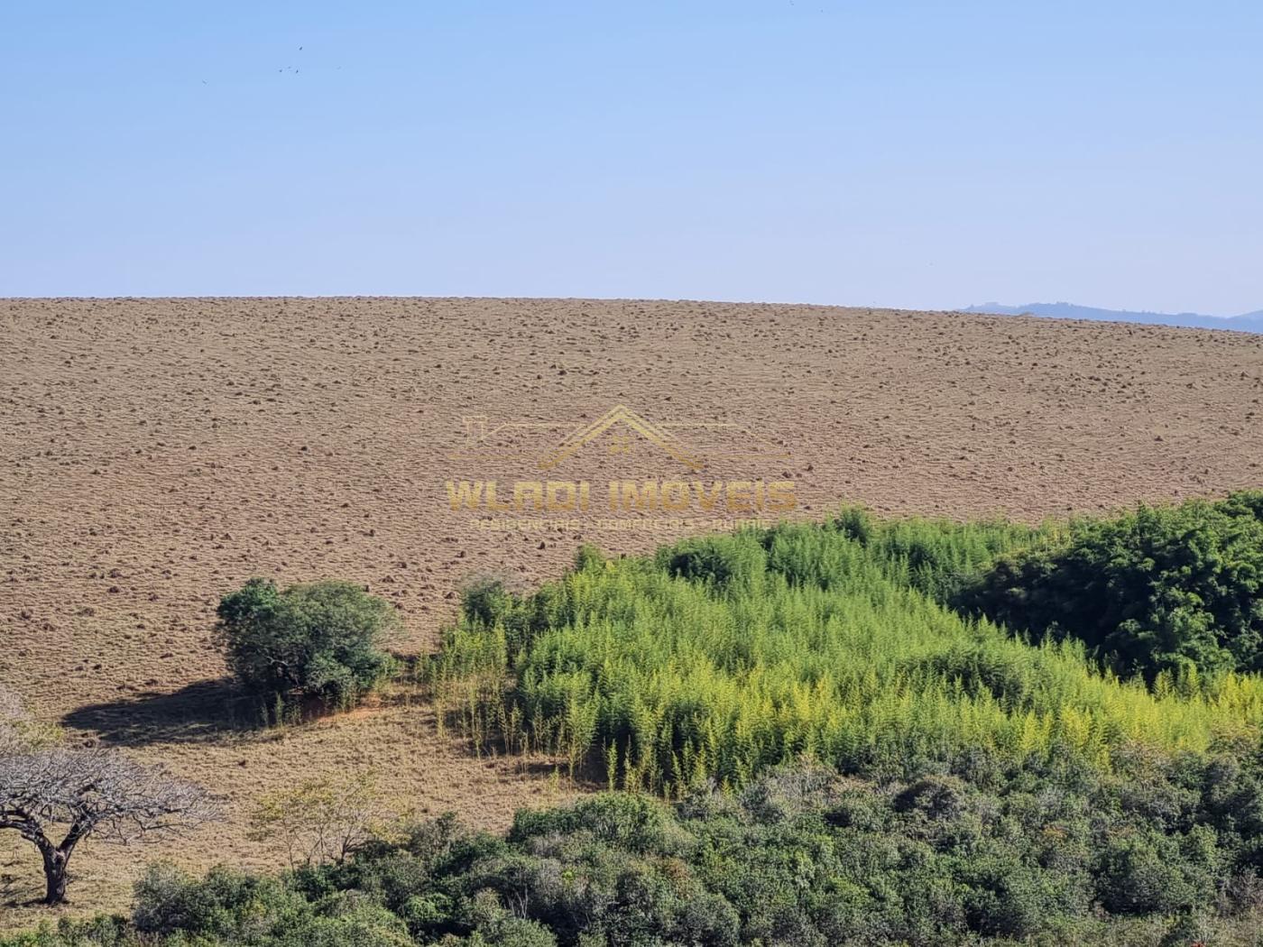 Fazenda à venda, 209m² - Foto 5