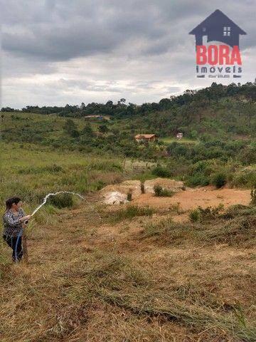 Terreno à venda, 1225M2 - Foto 6