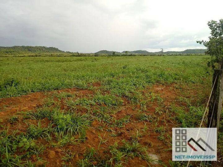 Fazenda à venda com 5 quartos, 500m² - Foto 1