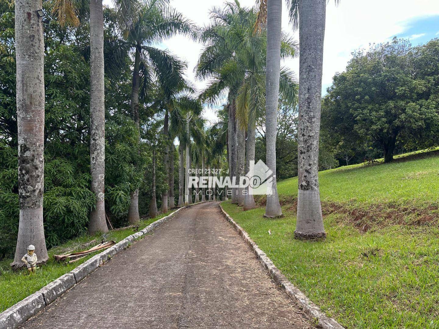 Sítio à venda com 3 quartos, 380m² - Foto 21