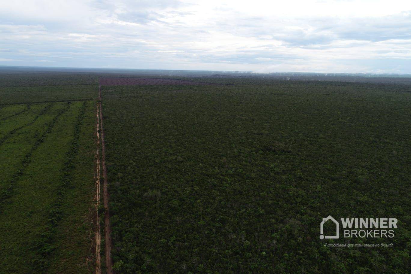 Fazenda-Sítio-Chácara, 563 hectares - Foto 1