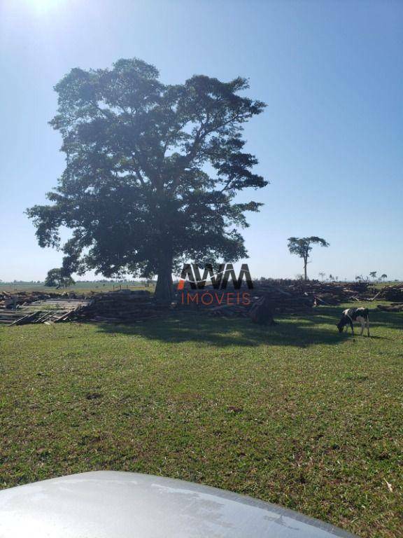 Fazenda à venda, 10769000M2 - Foto 21