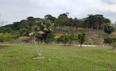 Fazenda à venda com 3 quartos, 87000m² - Foto 29