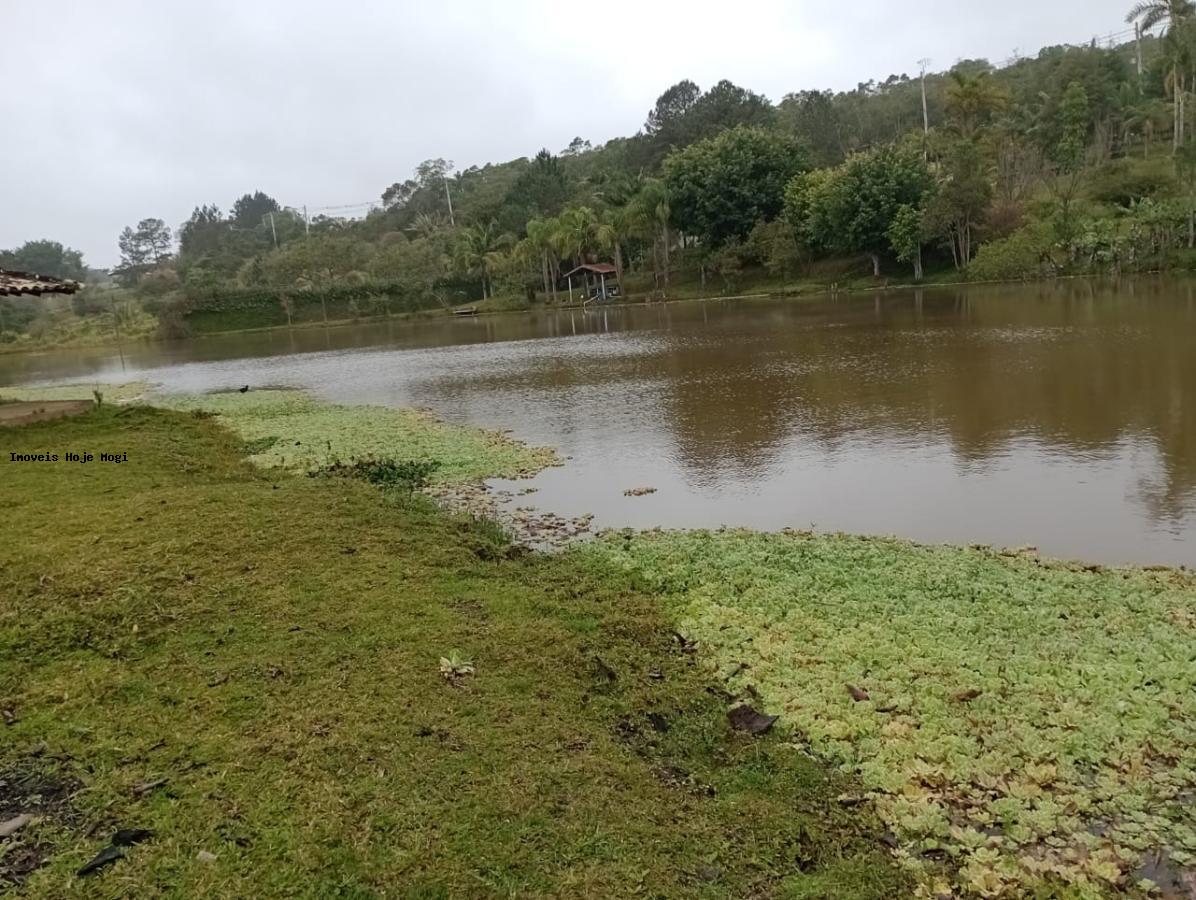 Fazenda à venda com 5 quartos, 12000m² - Foto 15