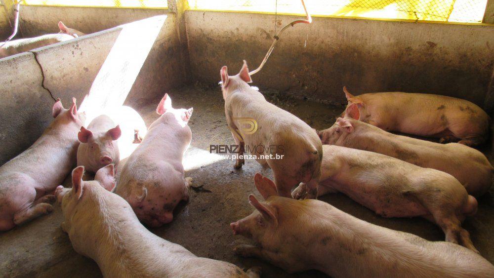 Loteamento e Condomínio à venda, 60000m² - Foto 30