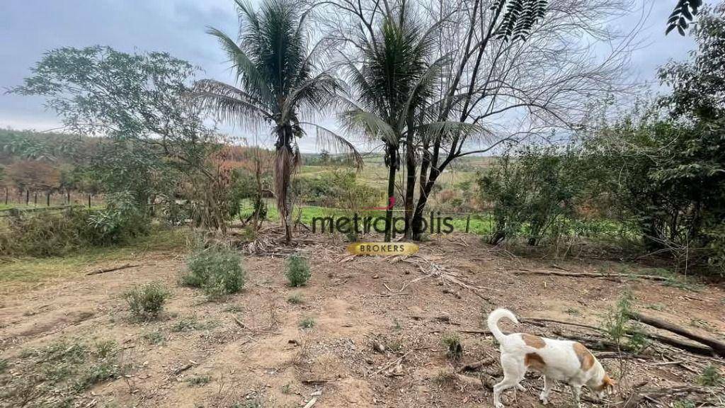 Chácara à venda com 6 quartos, 27000M2 - Foto 2