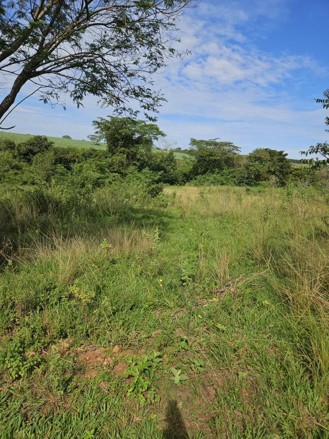 Chácara à venda, 4094m² - Foto 2