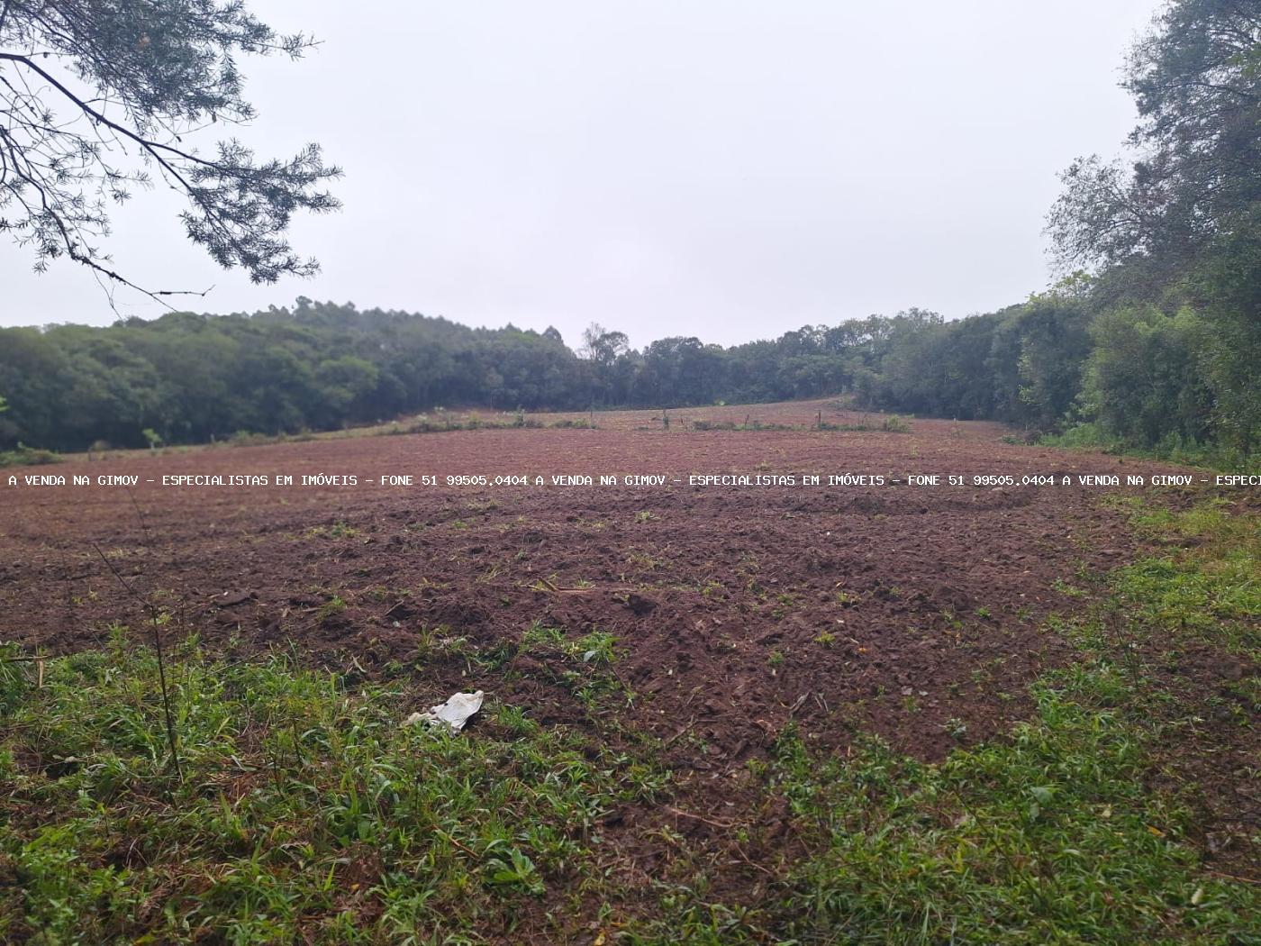 Fazenda à venda com 2 quartos, 141000m² - Foto 12