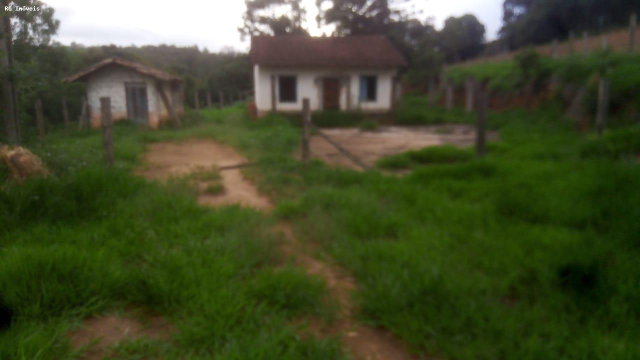 Sítio à venda com 2 quartos, 15000m² - Foto 8