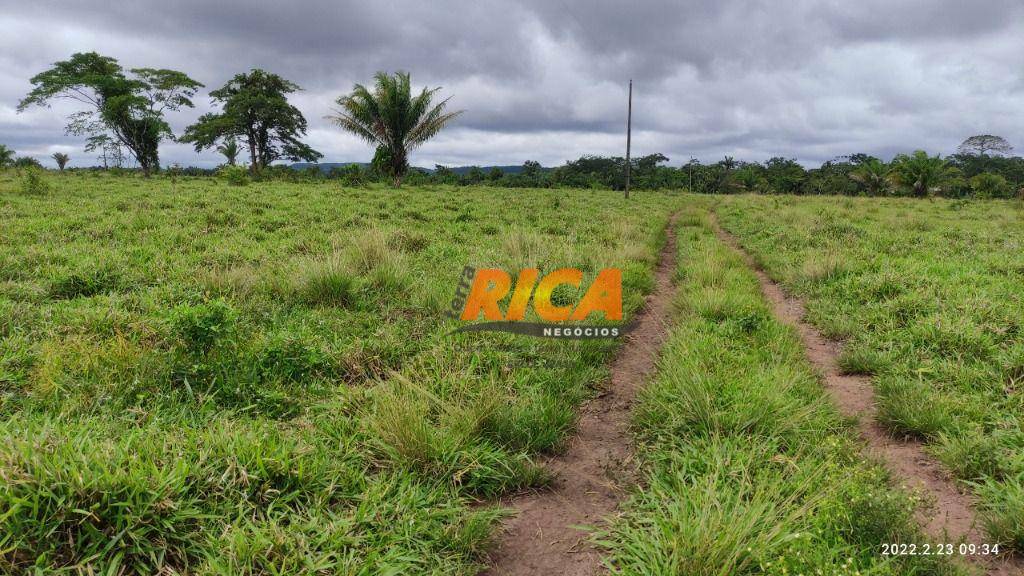 Fazenda à venda, 20400000M2 - Foto 13