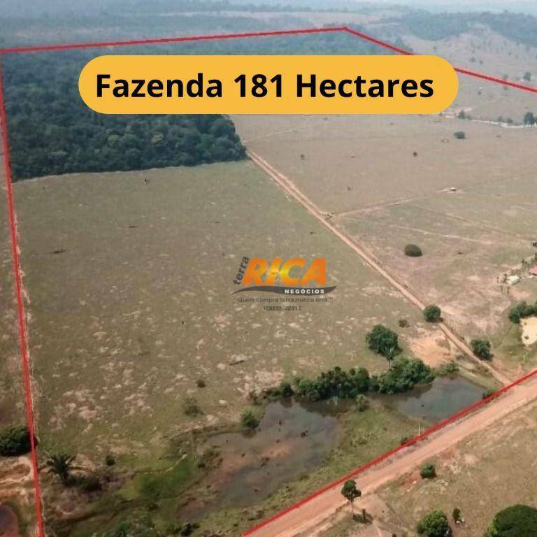Fazenda-Sítio-Chácara, 181 hectares - Foto 1