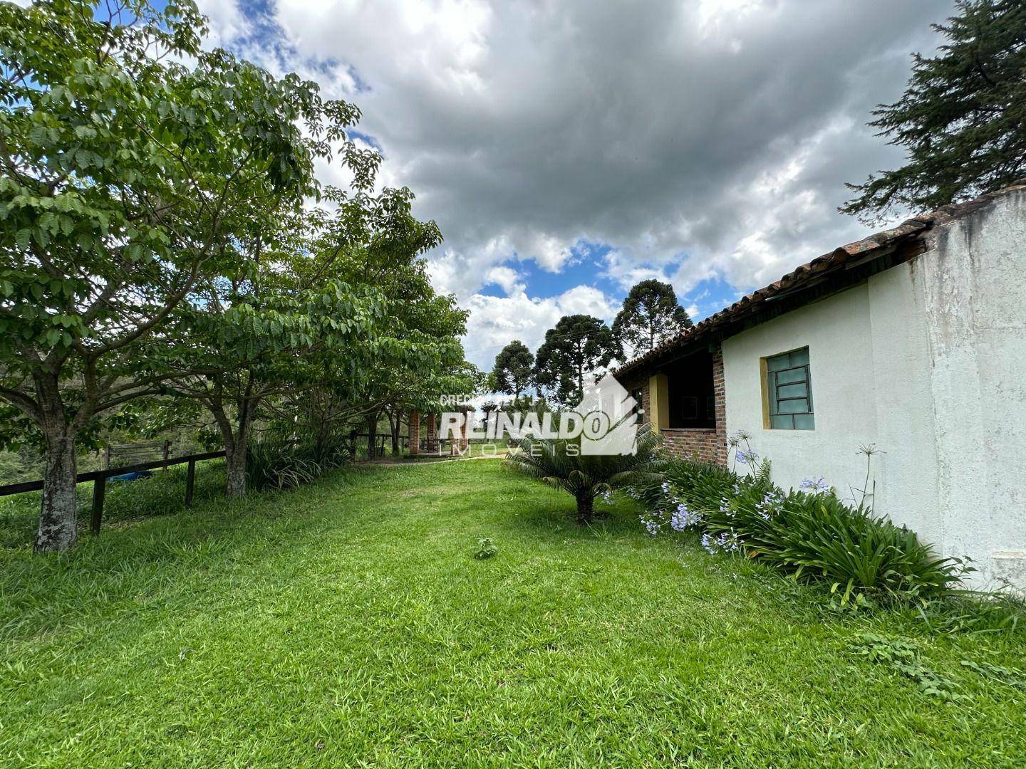 Sítio à venda com 3 quartos, 2920m² - Foto 38