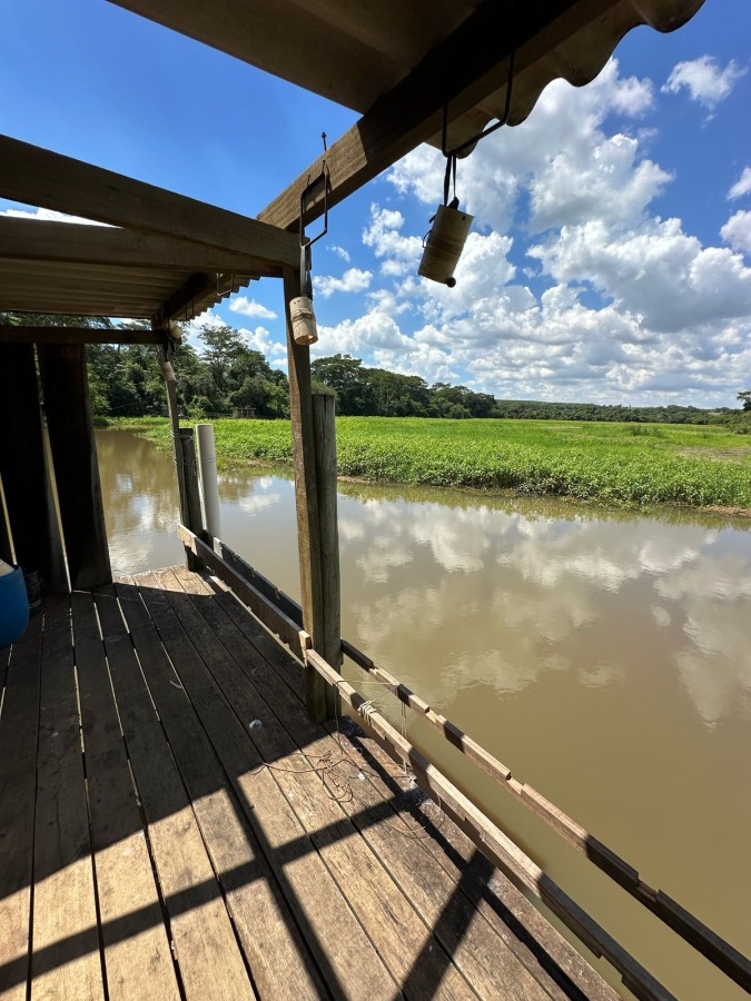 Chácara à venda com 2 quartos, 5000m² - Foto 4