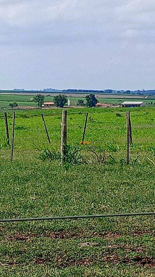 Fazenda à venda, 10890000M2 - Foto 3