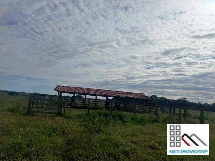 Fazenda à venda com 3 quartos, 220m² - Foto 5