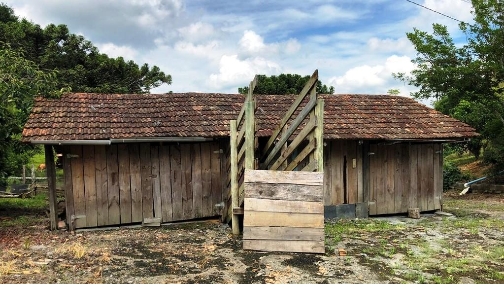 Sítio à venda com 2 quartos, 37800m² - Foto 25