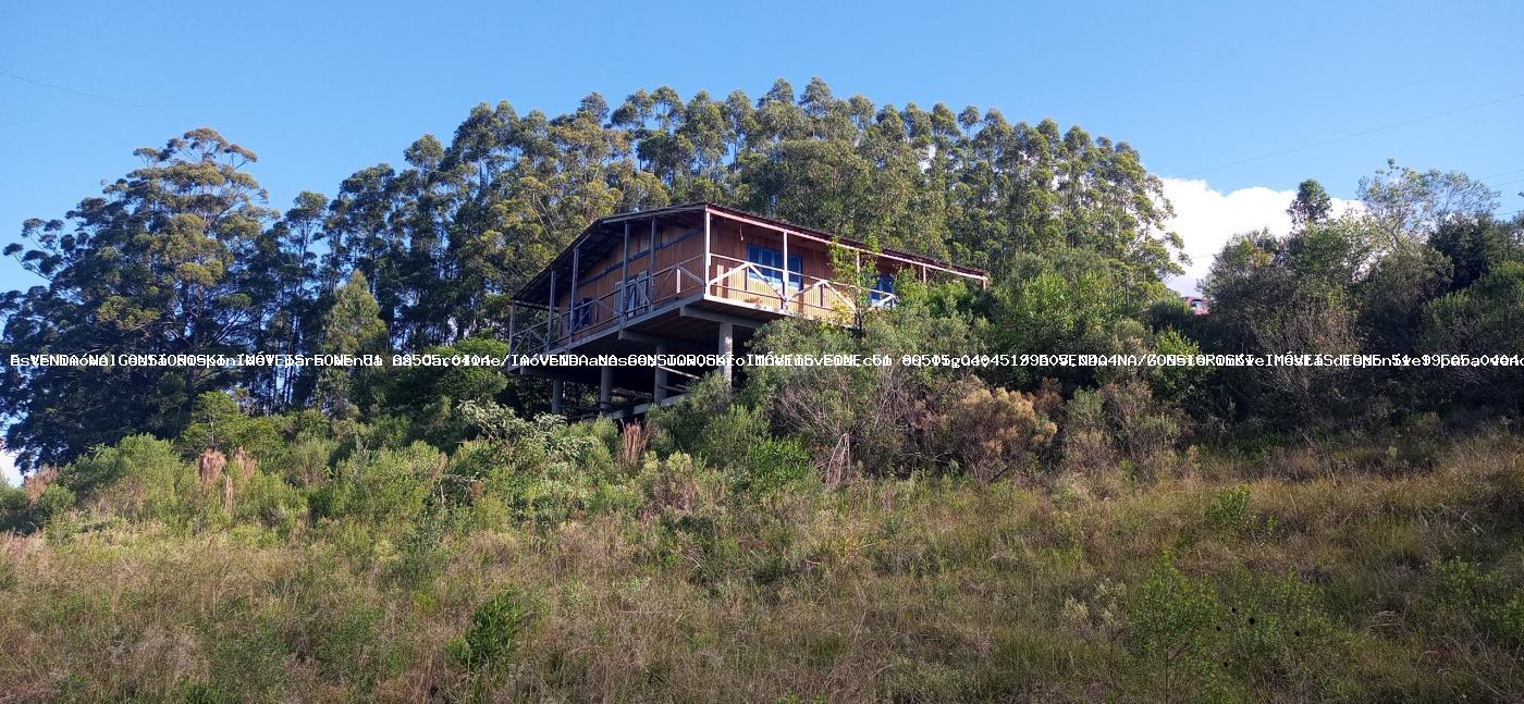 Sítio à venda com 3 quartos, 191120m² - Foto 1