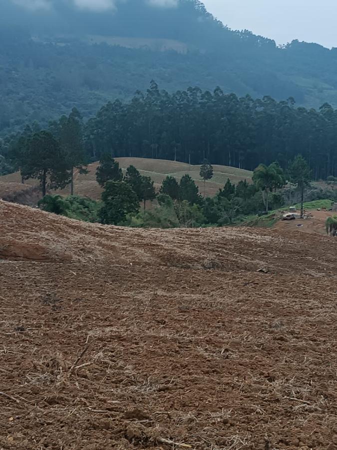 Fazenda à venda com 3 quartos, 260000m² - Foto 6