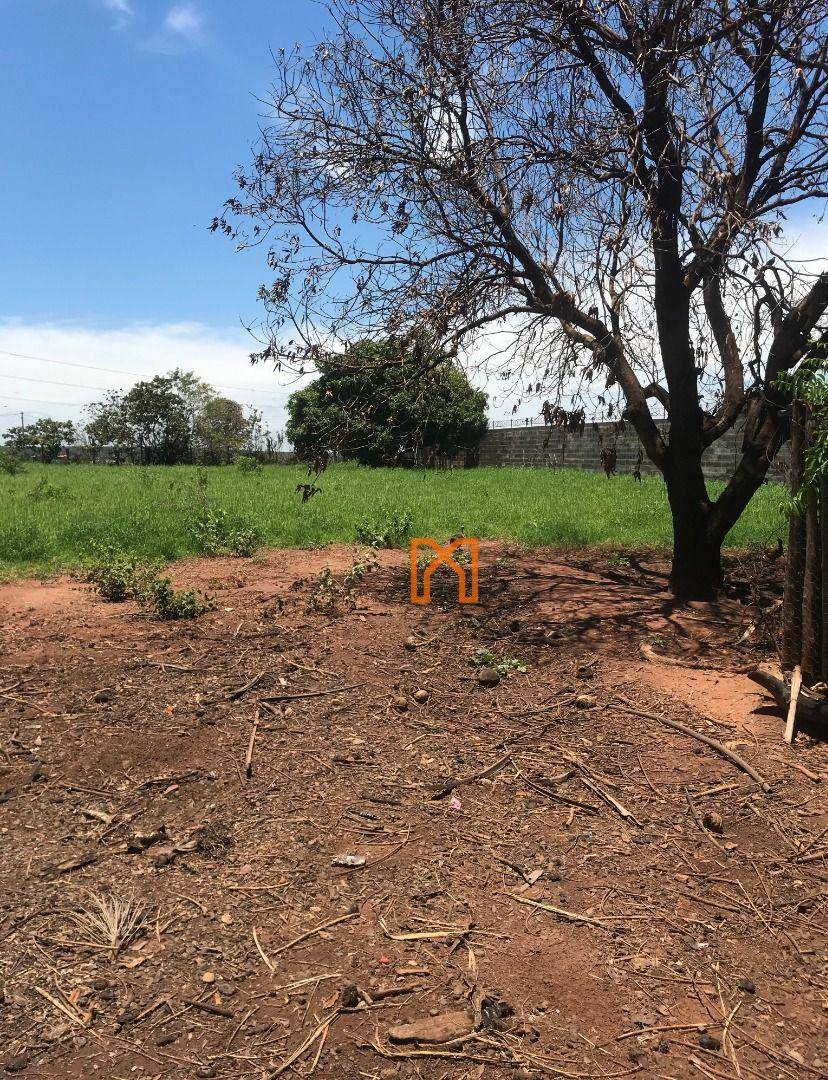 Loteamento e Condomínio à venda, 2500M2 - Foto 12